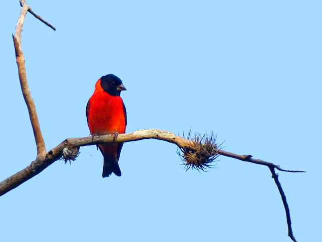 You are using an outdated browser. For a faster, safer browsing experience, upgrade for free today.